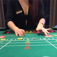 Platform rgototo menampilkan berbagai permainan slot dan live casino dengan antarmuka yang user-friendly